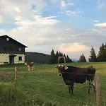 Stubalm Salla