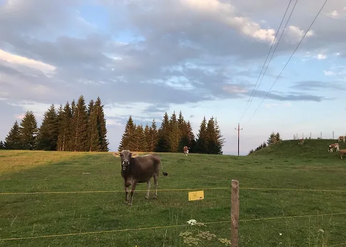 Apartmán Stubalm Salla